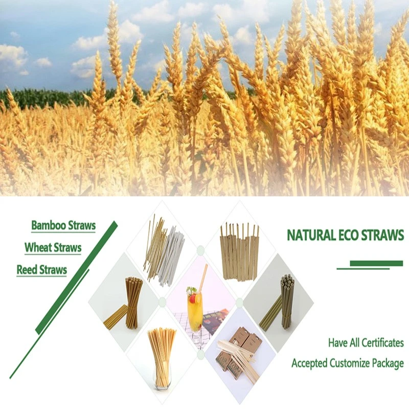 product-800-800